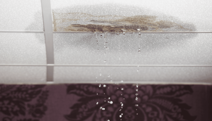 Water Leak Detection Near North Side IL